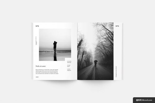 黑白美學(xué) 攝影與平面設(shè)計(jì)在產(chǎn)品畫冊中的融合藝術(shù)